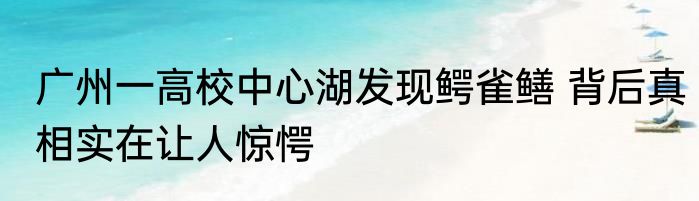 广州一高校中心湖发现鳄雀鳝 背后真相实在让人惊愕