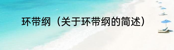 环带纲（关于环带纲的简述）