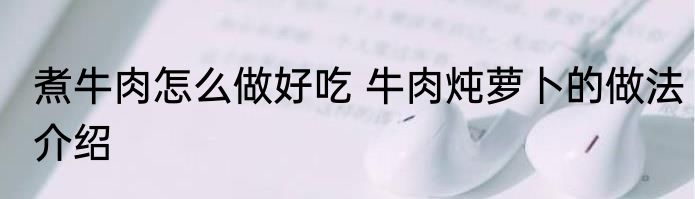 煮牛肉怎么做好吃 牛肉炖萝卜的做法介绍