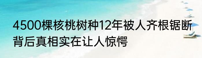 4500棵核桃树种12年被人齐根锯断 背后真相实在让人惊愕