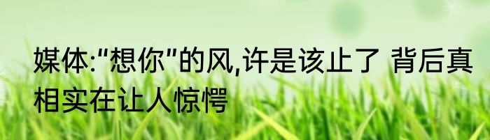 媒体:“想你”的风,许是该止了 背后真相实在让人惊愕