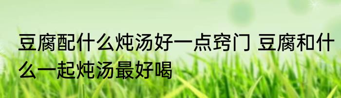 豆腐配什么炖汤好一点窍门 豆腐和什么一起炖汤最好喝