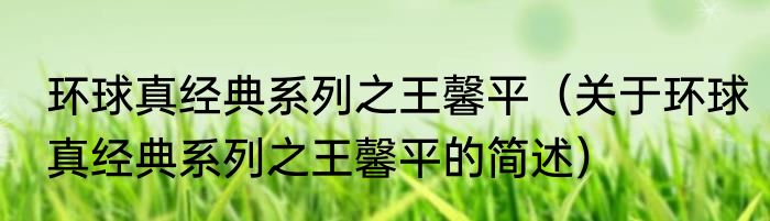 环球真经典系列之王馨平（关于环球真经典系列之王馨平的简述）