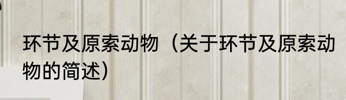 环节及原索动物（关于环节及原索动物的简述）