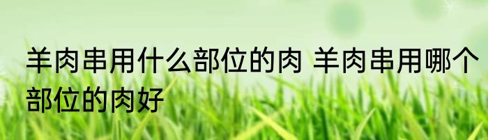羊肉串用什么部位的肉 羊肉串用哪个部位的肉好