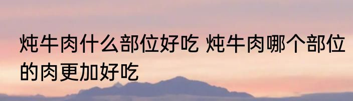 炖牛肉什么部位好吃 炖牛肉哪个部位的肉更加好吃