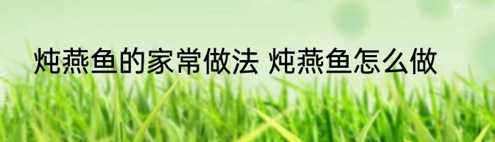 炖燕鱼的家常做法 炖燕鱼怎么做