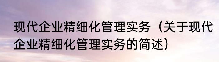 现代企业精细化管理实务（关于现代企业精细化管理实务的简述）