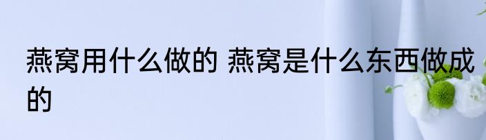 燕窝用什么做的 燕窝是什么东西做成的