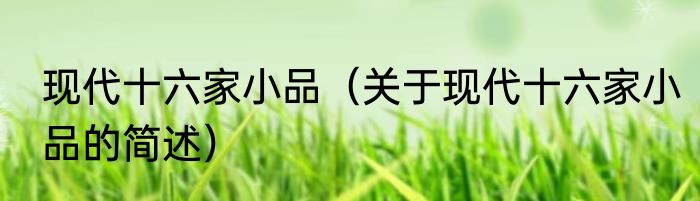 现代十六家小品（关于现代十六家小品的简述）