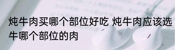 炖牛肉买哪个部位好吃 炖牛肉应该选牛哪个部位的肉