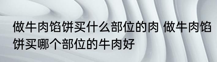 做牛肉馅饼买什么部位的肉 做牛肉馅饼买哪个部位的牛肉好