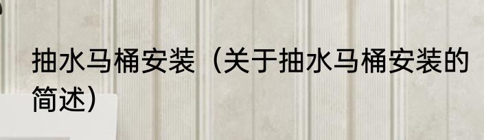 抽水马桶安装（关于抽水马桶安装的简述）