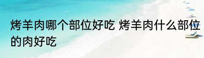 烤羊肉哪个部位好吃 烤羊肉什么部位的肉好吃