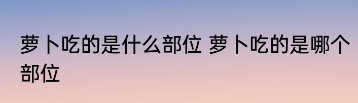 萝卜吃的是什么部位 萝卜吃的是哪个部位