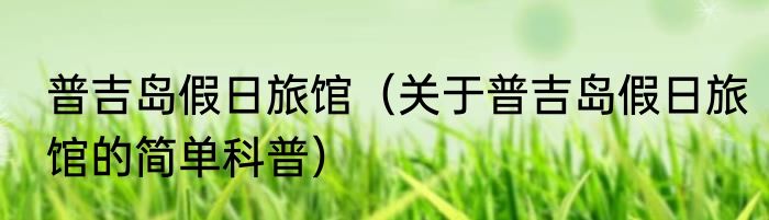 普吉岛假日旅馆（关于普吉岛假日旅馆的简单科普）
