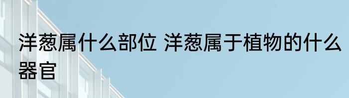 洋葱属什么部位 洋葱属于植物的什么器官
