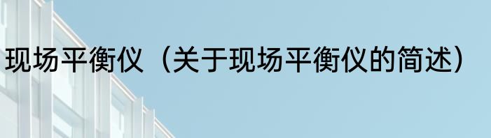 现场平衡仪（关于现场平衡仪的简述）
