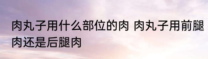 肉丸子用什么部位的肉 肉丸子用前腿肉还是后腿肉