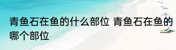 青鱼石在鱼的什么部位 青鱼石在鱼的哪个部位