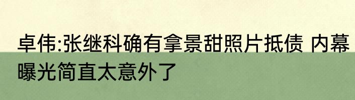 卓伟:张继科确有拿景甜照片抵债 内幕曝光简直太意外了