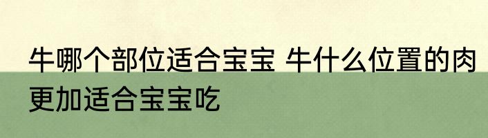 牛哪个部位适合宝宝 牛什么位置的肉更加适合宝宝吃