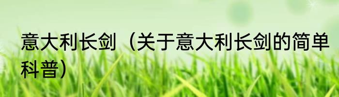 意大利长剑（关于意大利长剑的简单科普）