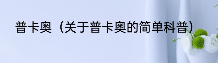 普卡奥（关于普卡奥的简单科普）