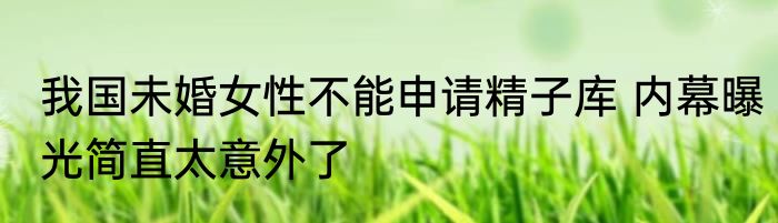 海带炖肉（关于海带炖肉的简单科普）