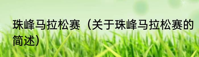 珠峰马拉松赛（关于珠峰马拉松赛的简述）