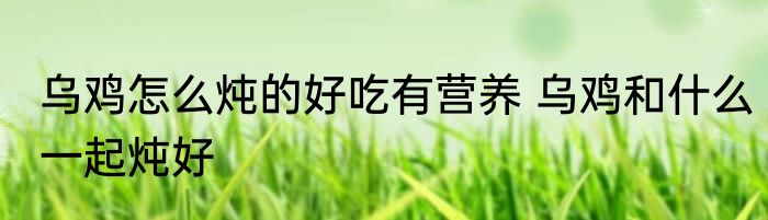 乌鸡怎么炖的好吃有营养 乌鸡和什么一起炖好