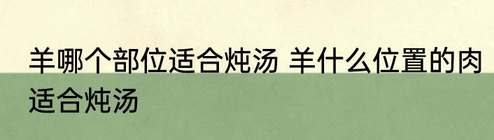 羊哪个部位适合炖汤 羊什么位置的肉适合炖汤