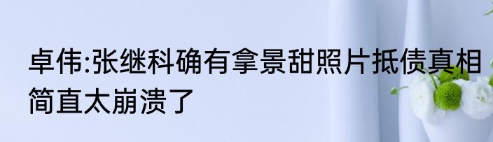 卓伟:张继科确有拿景甜照片抵债真相简直太崩溃了