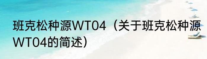 班克松种源WT04（关于班克松种源WT04的简述）