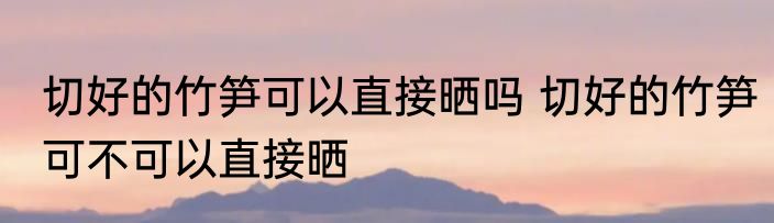 切好的竹笋可以直接晒吗 切好的竹笋可不可以直接晒