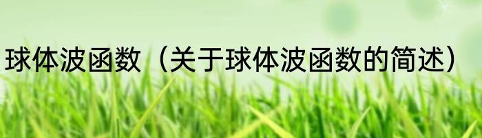 球体波函数（关于球体波函数的简述）