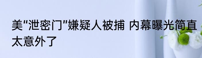 美“泄密门”嫌疑人被捕 内幕曝光简直太意外了