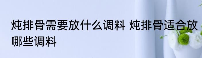 炖排骨需要放什么调料 炖排骨适合放哪些调料
