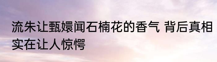 流朱让甄嬛闻石楠花的香气 背后真相实在让人惊愕