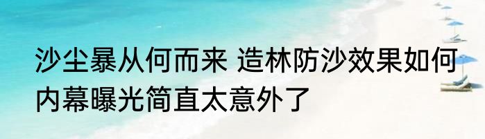 沙尘暴从何而来 造林防沙效果如何 内幕曝光简直太意外了