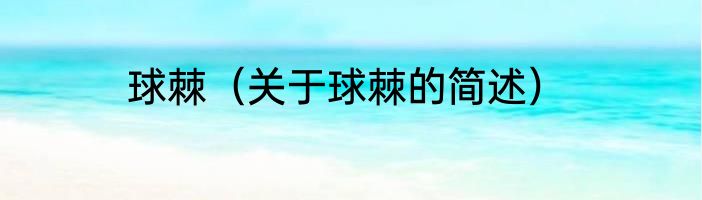 球棘（关于球棘的简述）