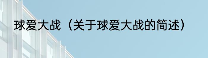 球爱大战（关于球爱大战的简述）