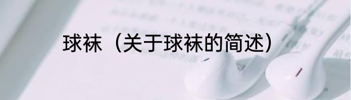 球袜（关于球袜的简述）