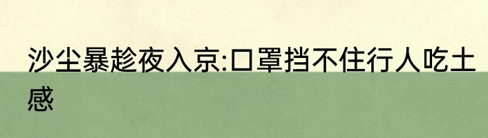 沙尘暴趁夜入京:口罩挡不住行人吃土感