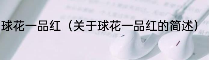 球花一品红（关于球花一品红的简述）