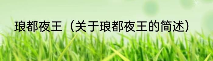 琅都夜王（关于琅都夜王的简述）