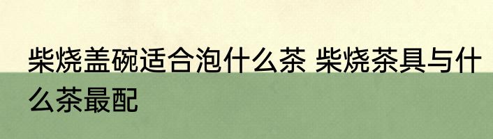 柴烧盖碗适合泡什么茶 柴烧茶具与什么茶最配