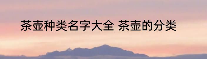 茶壶种类名字大全 茶壶的分类