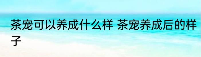 茶宠可以养成什么样 茶宠养成后的样子