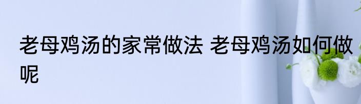 老母鸡汤的家常做法 老母鸡汤如何做呢